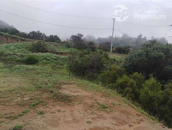 Parcela en venta en Curacaví - Imagen 11