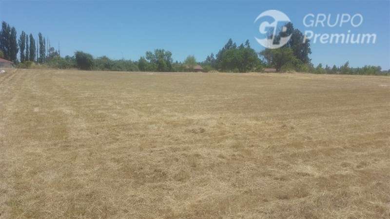 Hermosa Parcela con servicios básicos en venta en Las Cabras