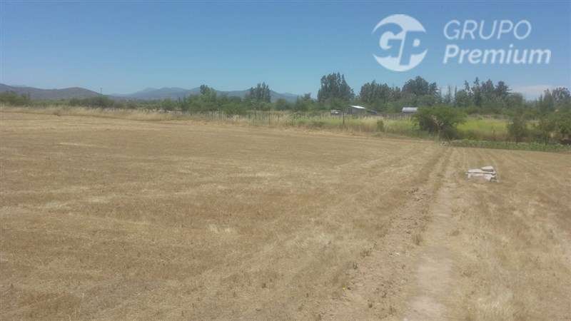 Hermosa Parcela con servicios básicos en venta en Las Cabras - Imagen 3