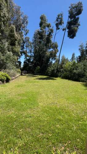 VENDO CASA EN SAN PEDRO  (185823) - Imagen 6