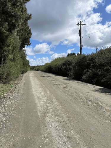 ARRIENDO PARQUE INDDUSTRIAL DE CURANILAHUE  (185817)