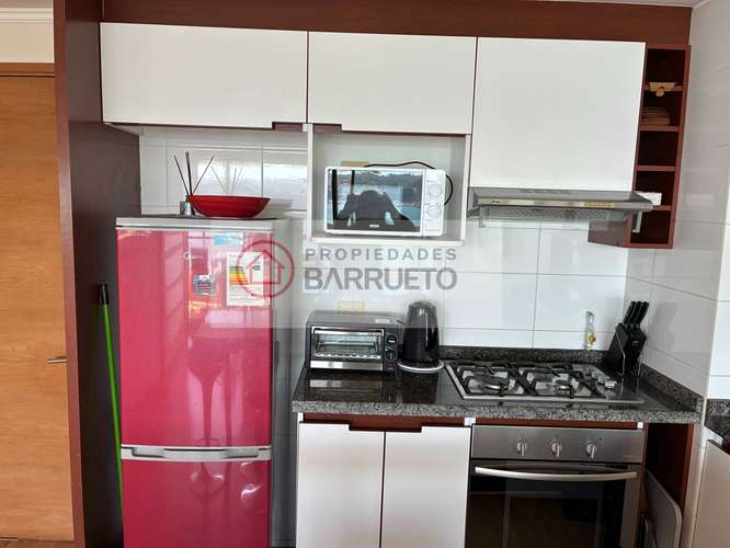 ARRIENDO DEPARTAMENTO EN PINGUERAL (185831)