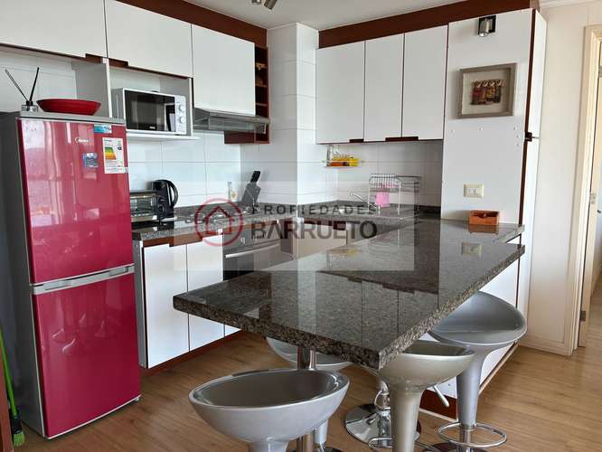 ARRIENDO DEPARTAMENTO EN PINGUERAL (185831)
