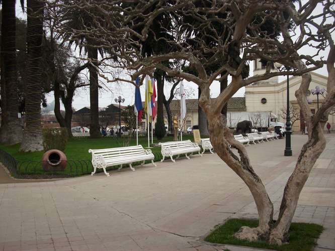 MÁS DE 3 HECTÁREAS EN LARMAHE COMUNA DE PICHIDEGUA