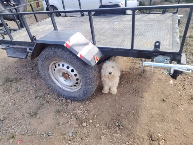 Se vende carro de arrastre