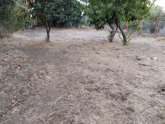 Se Vende Sitio Urbano en Calle Principal de Nueva Aldea