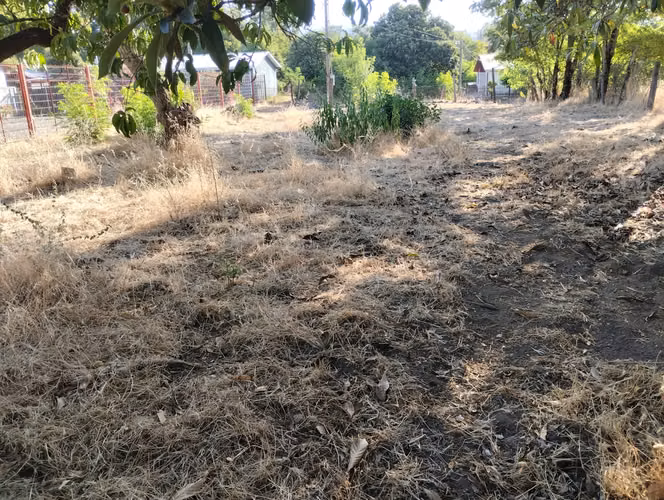 Se Vende Sitio Urbano en Calle Principal de Nueva Aldea