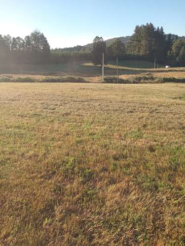 PARCELA 5000 M EN CONDOMINIO LOMAS DE HUISCAPI, VILLARRICA
