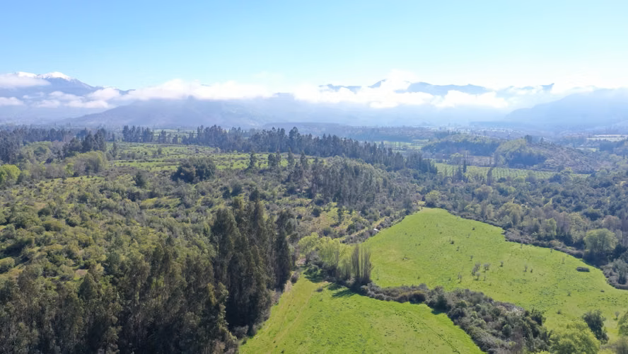 CAMPO 77HA BUEN PRECIO Y CONDICIONES IDEAL AVELLANO EUROPEO