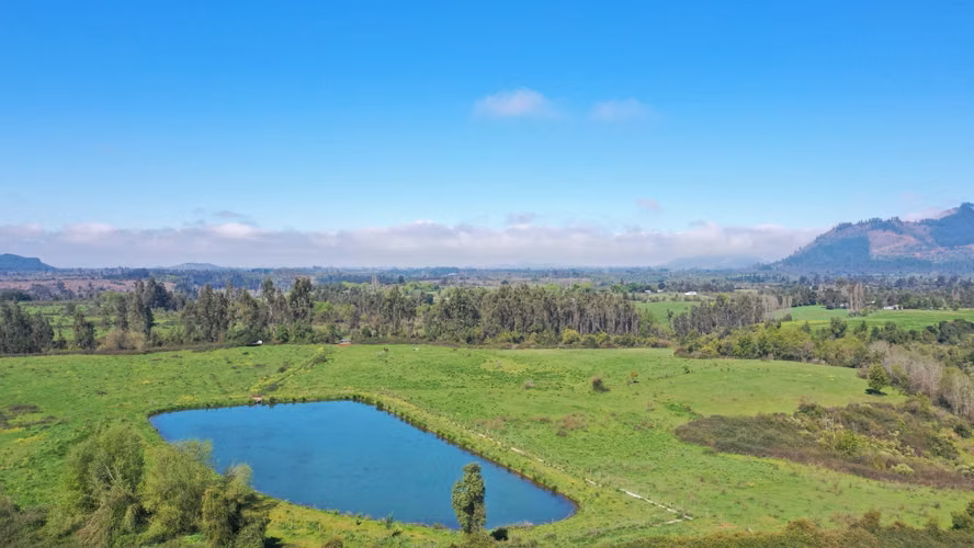 CAMPO 77HA BUEN PRECIO Y CONDICIONES IDEAL AVELLANO EUROPEO