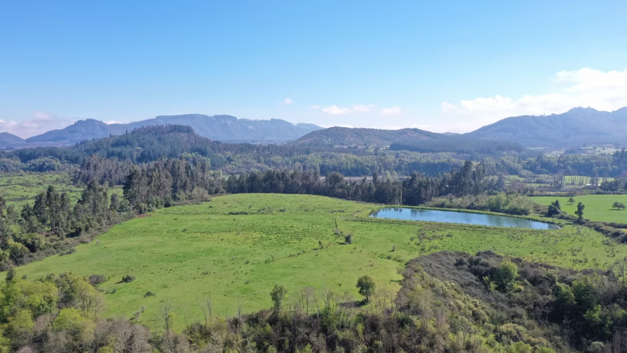 CAMPO 77HA BUEN PRECIO Y CONDICIONES IDEAL AVELLANO EUROPEO