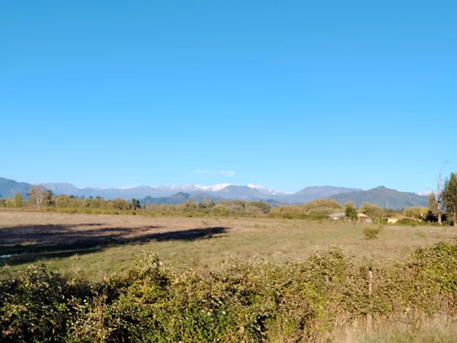 44 HA SUELO CLASE III IDEAL AVELLANO EUROPEO RIO CLARO VII R
