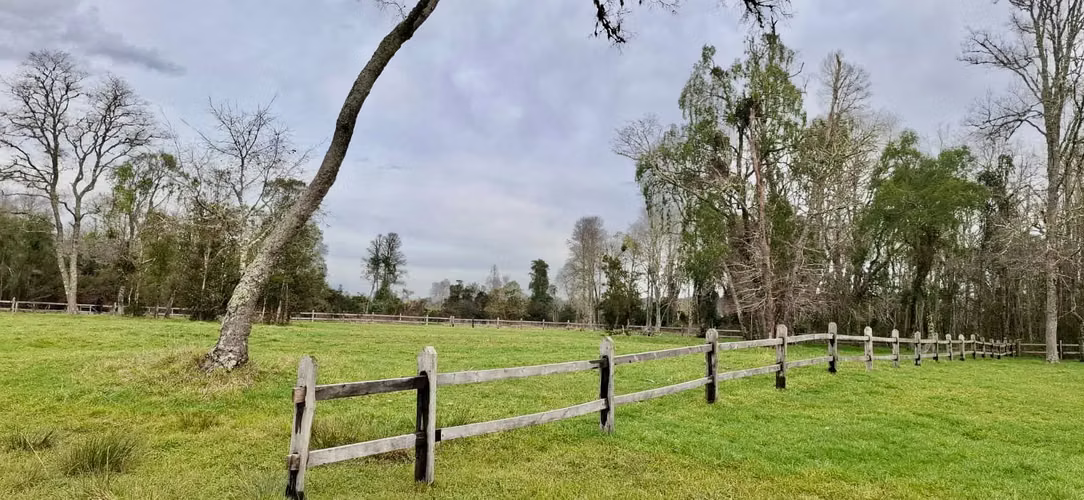 PARCELA DE 5000 M2 EN FOLILCO LOS LAGOS