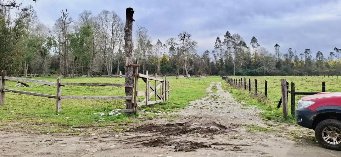 PARCELA DE 5000 M2 EN FOLILCO LOS LAGOS