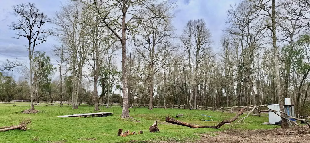 PARCELA DE 5000 M2 EN FOLILCO LOS LAGOS