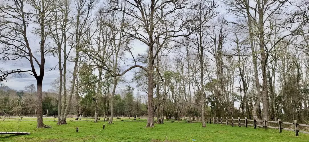 PARCELA DE 5000 M2 EN FOLILCO LOS LAGOS
