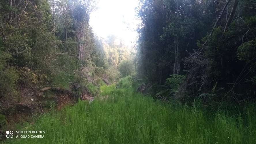 VENTA  TERRENO TURISTICO 60 HECTAREAS SECTOR RIO CHEPU ANCUD