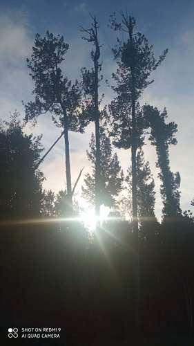 VENTA  TERRENO TURISTICO 60 HECTAREAS SECTOR RIO CHEPU ANCUD