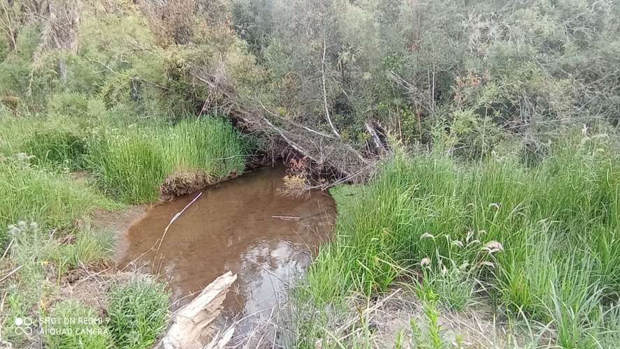 VENTA  TERRENO TURISTICO 60 HECTAREAS SECTOR RIO CHEPU ANCUD
