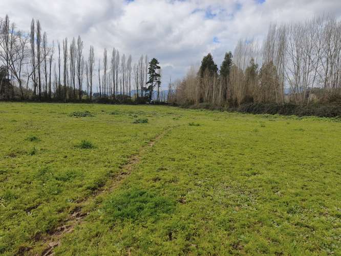 PROPIEDAD AGRÍCOLA EN VENTA EN COLBÚN - 24,3 HA