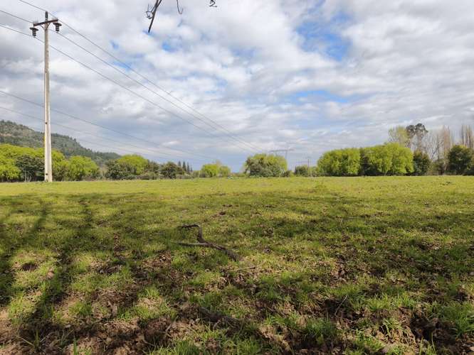 PROPIEDAD AGRÍCOLA EN VENTA EN COLBÚN - 24,3 HA