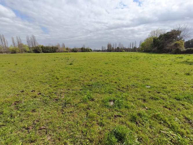 PROPIEDAD AGRÍCOLA EN VENTA EN COLBÚN - 24,3 HA
