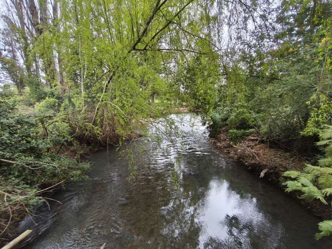 PROPIEDAD AGRÍCOLA EN VENTA EN COLBÚN - 24,3 HA