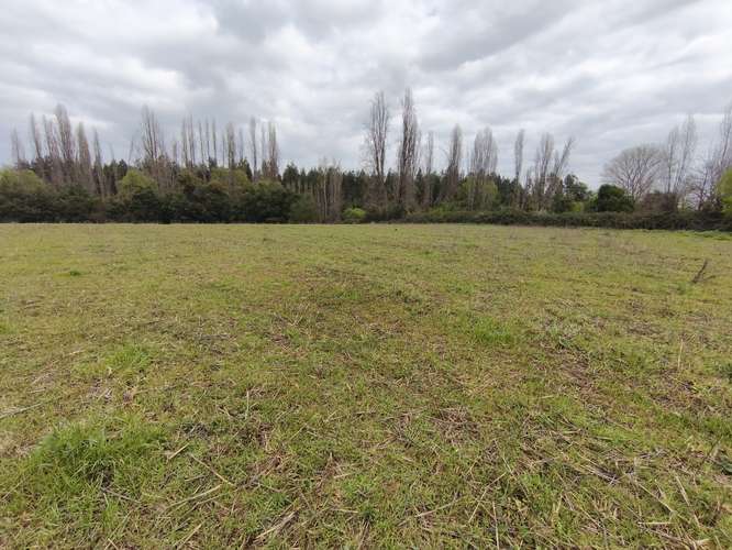 PROPIEDAD AGRÍCOLA EN VENTA EN COLBÚN - 24,3 HA