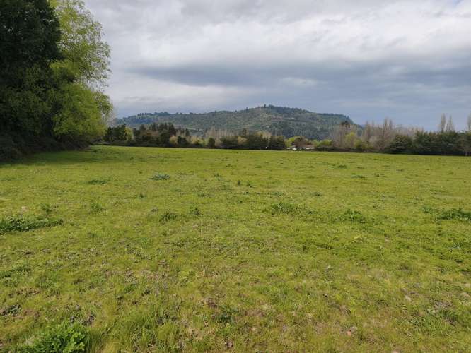 PROPIEDAD AGRÍCOLA EN VENTA EN COLBÚN - 24,3 HA