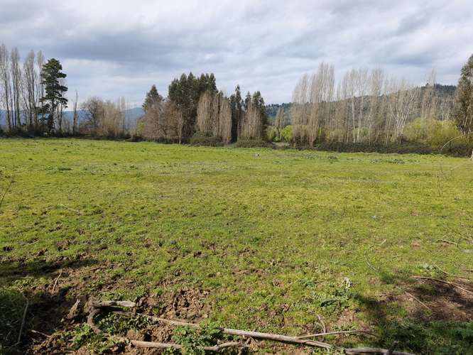 PROPIEDAD AGRÍCOLA EN VENTA EN COLBÚN - 24,3 HA