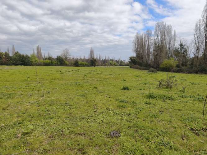 PROPIEDAD AGRÍCOLA EN VENTA EN COLBÚN - 24,3 HA