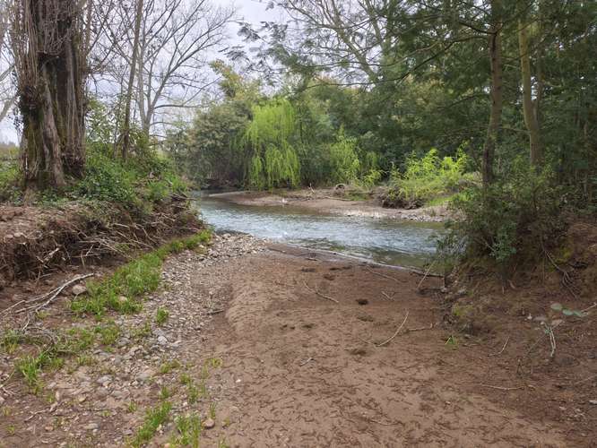 PROPIEDAD AGRÍCOLA EN VENTA EN COLBÚN - 24,3 HA