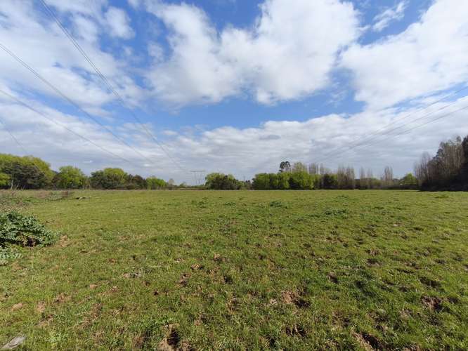 PROPIEDAD AGRÍCOLA EN VENTA EN COLBÚN - 24,3 HA