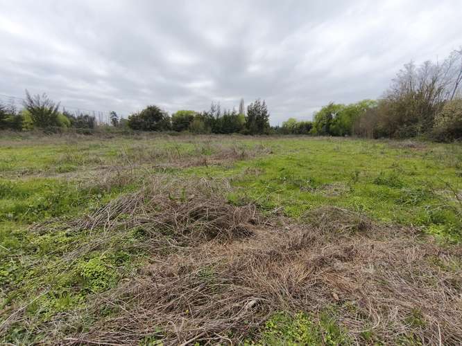 PROPIEDAD AGRÍCOLA EN VENTA EN COLBÚN - 24,3 HA