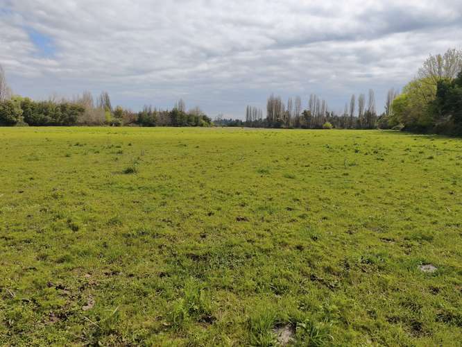 PROPIEDAD AGRÍCOLA EN VENTA EN COLBÚN - 24,3 HA