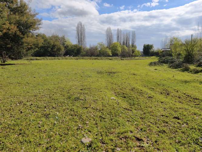 PROPIEDAD AGRÍCOLA EN VENTA EN COLBÚN - 24,3 HA