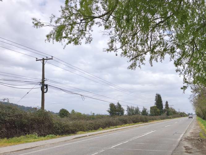 PROPIEDAD AGRÍCOLA EN VENTA EN COLBÚN - 24,3 HA