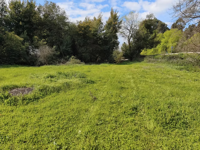 PROPIEDAD AGRÍCOLA EN VENTA EN COLBÚN - 24,3 HA