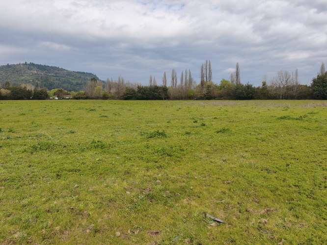 PROPIEDAD AGRÍCOLA EN VENTA EN COLBÚN - 24,3 HA