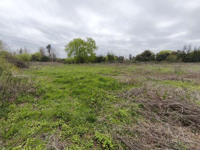 PROPIEDAD AGRÍCOLA EN VENTA EN COLBÚN - 24,3 HA