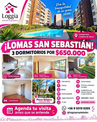 ARRIENDO DEPA CATALINA SIENA 3D/2D/1E lomas san Sebastián