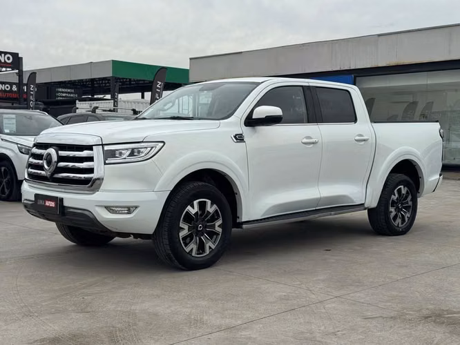 GREAT WALL POER PLUS 2024
