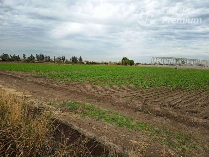 Sitio en arriendo en Lampa