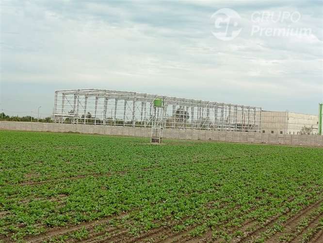 Sitio en arriendo en Lampa