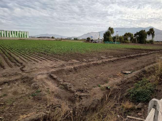 Sitio en arriendo en Lampa