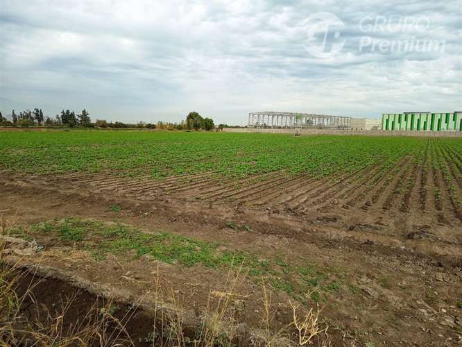Sitio en arriendo en Lampa