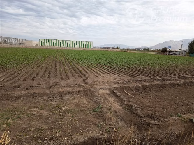Sitio en arriendo en Lampa