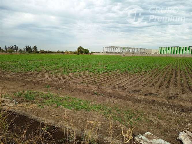 Sitio en arriendo en Lampa