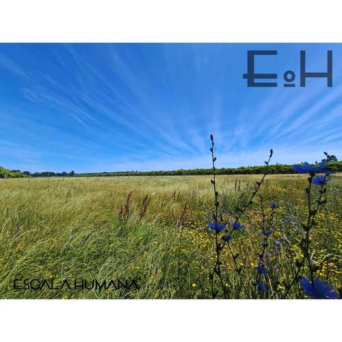 Venta casa nueva 3D/2B  El Pino - Quiebrafrenos - Laja