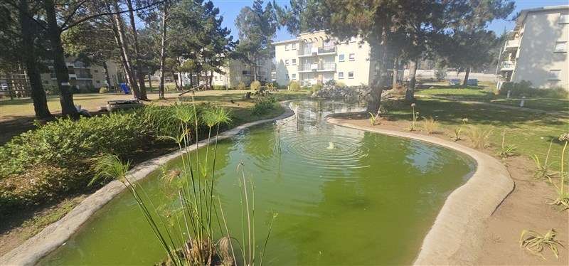 Departamento en venta de 3 dorm. en Algarrobo - Imagen 49